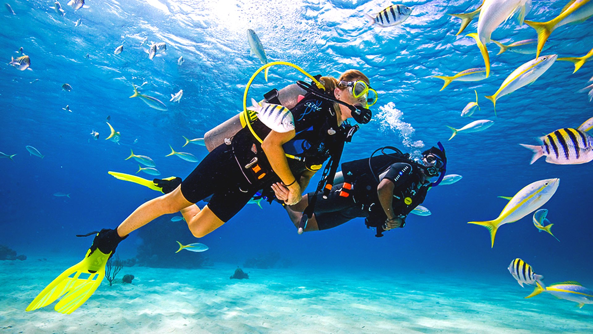 Scuba Diving in Andaman – An Underwater Adventure